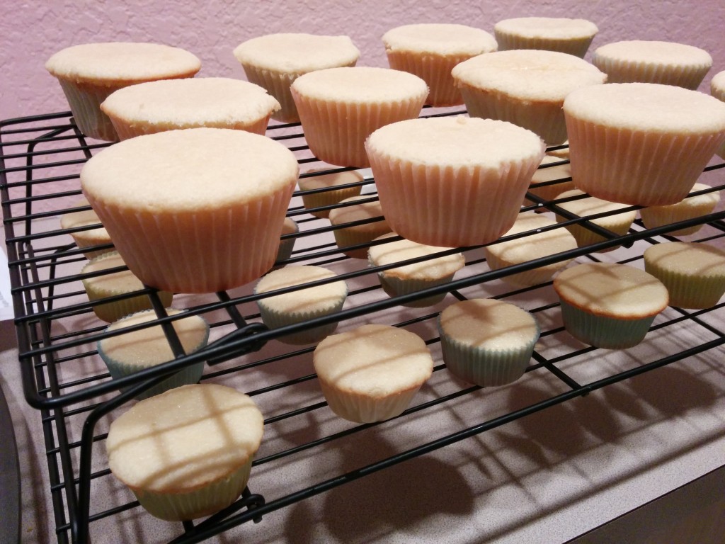 Magnolia Bakery Vanilla Cupcakes An Easy Vanilla Cupcake Recipe! Mr
